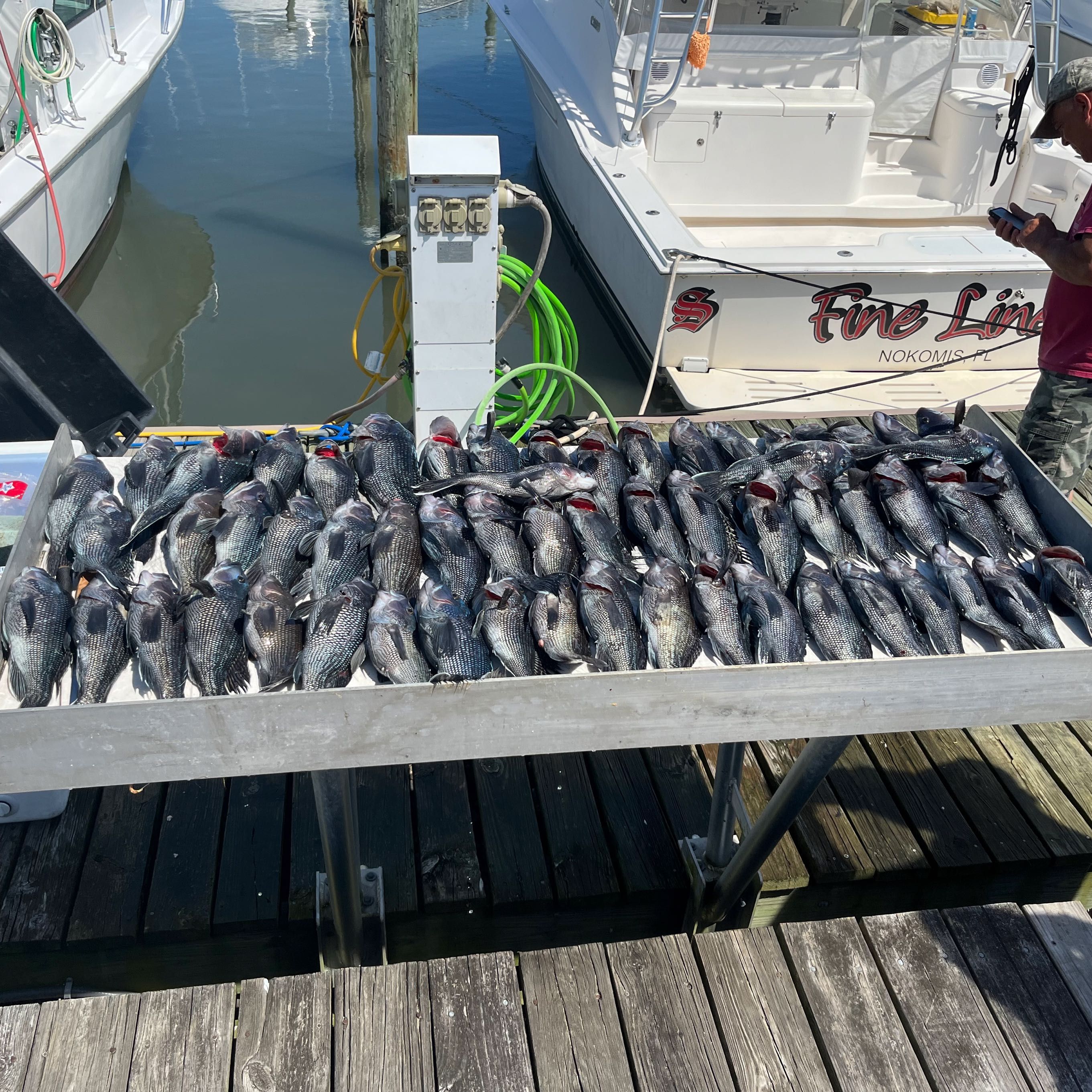 Cape May New Jersey Fishing Charters | 8 Hour  Deep Water Seabass Spring